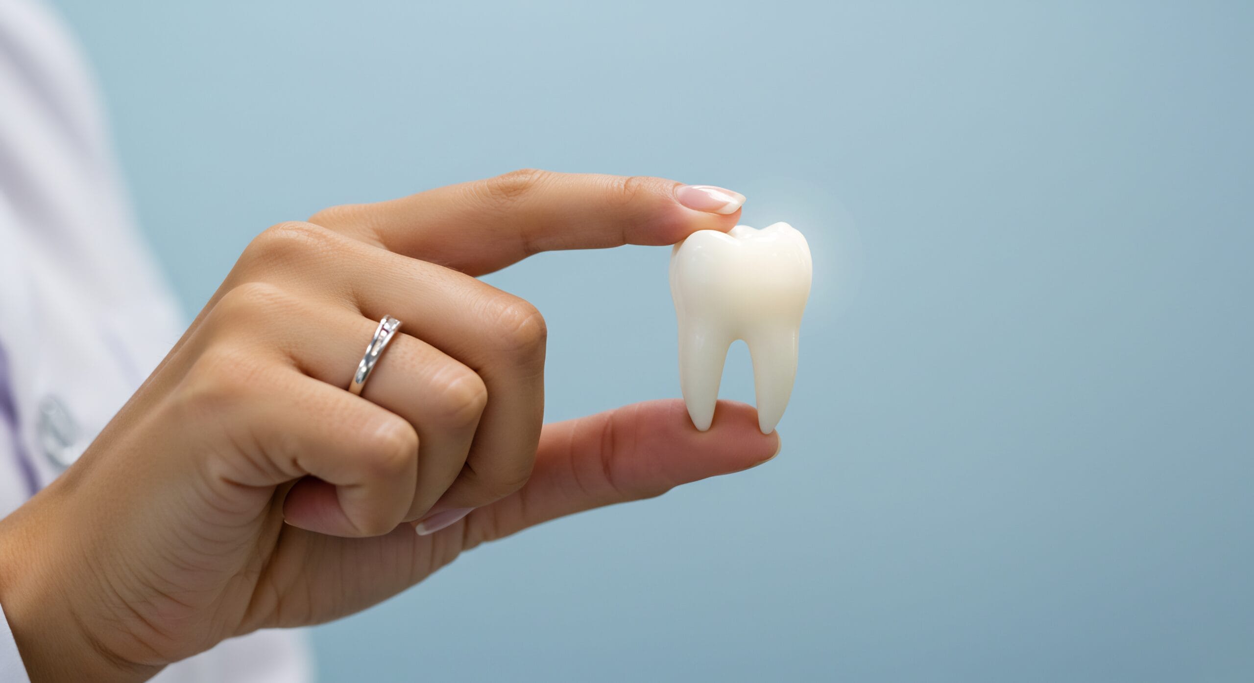 白い歯模型を持つ手, 健康な歯, 歯科医療 family dentist sarnia